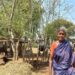 Uthukuli butter: The case of missing buffaloes and a small town’s identity