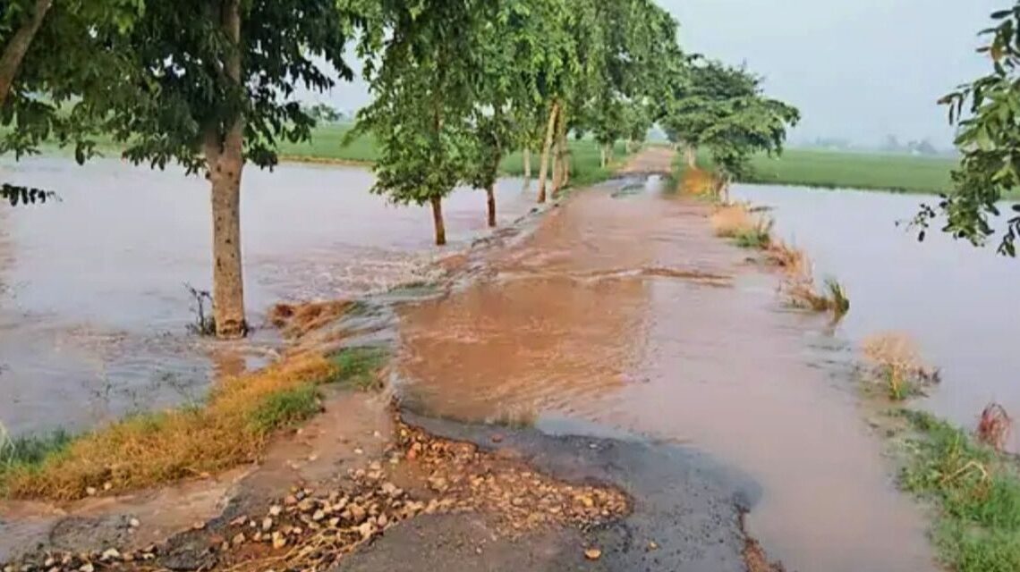 Haryana villagers grapple with online applications to access flood relief