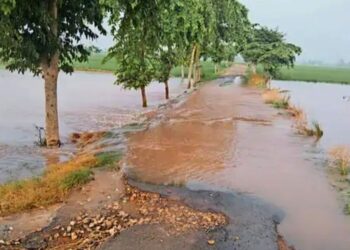 Haryana villagers grapple with online applications to access flood relief