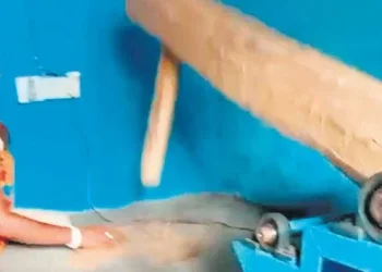 IIT-Kharagpur develops mechanised ‘Dheki’ to retain value of indigenous rice