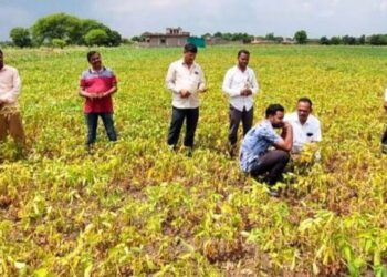 Consumer forum, insurance scheme not of much help to farmers in fake agrochemicals crisis