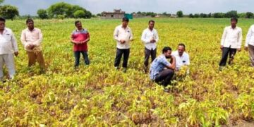 Consumer forum, insurance scheme not of much help to farmers in fake agrochemicals crisis