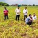 Consumer forum, insurance scheme not of much help to farmers in fake agrochemicals crisis