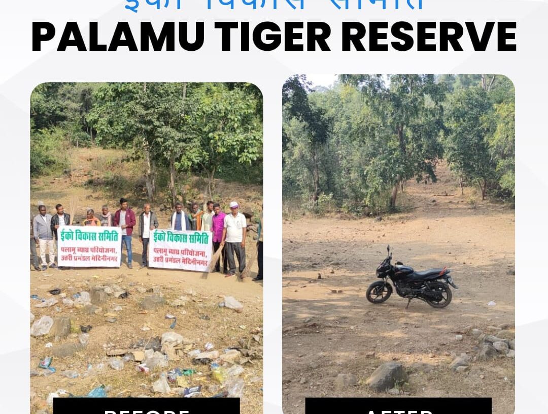 Eco-development committees keep road to Palamu Fort clean