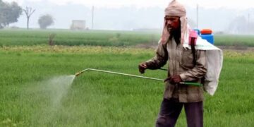 Not insect, it is spurious insecticide that harms Madhya Pradesh farmers more