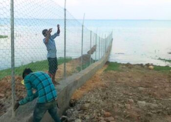 Gandhi Sagar decks up for cheetah arrival, but villagers buckle up for a battle for their cattle