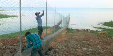 Gandhi Sagar decks up for cheetah arrival, but villagers buckle up for a battle for their cattle