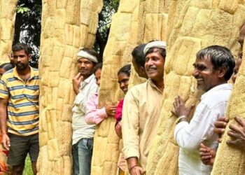 Roping in affordable tech, loan support can bring natural fibres to life in Karnataka