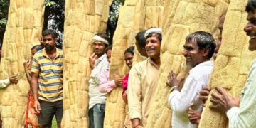 Roping in affordable tech, loan support can bring natural fibres to life in Karnataka