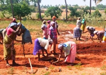 Crorepatis exploit MGNREGA salaries amidst rampant corruption in Coimbatore and Tiruppur