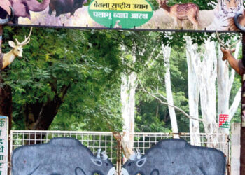 Palamu Tiger Reserve