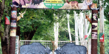 Palamu Tiger Reserve