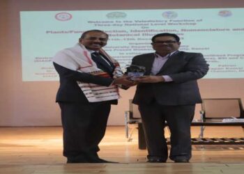 Plant/fungi workshop