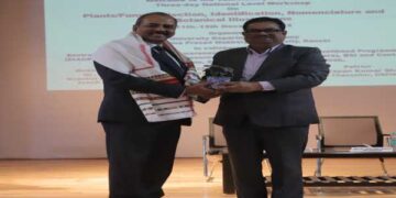 Plant/fungi workshop