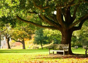 Breaking: Govt house next to Basant Soren’s home to be camp jail for ex-Jharkhand CM Hemant Soren