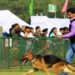 Jharkhand news: Jamshedpur Kennel Club to host Championship Dog Show from Jan 5