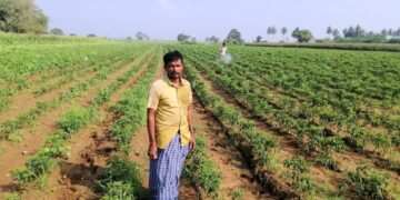 chilli farmers Andhra