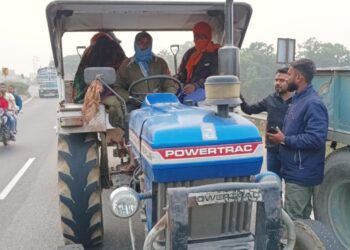 illegally mined stone chips