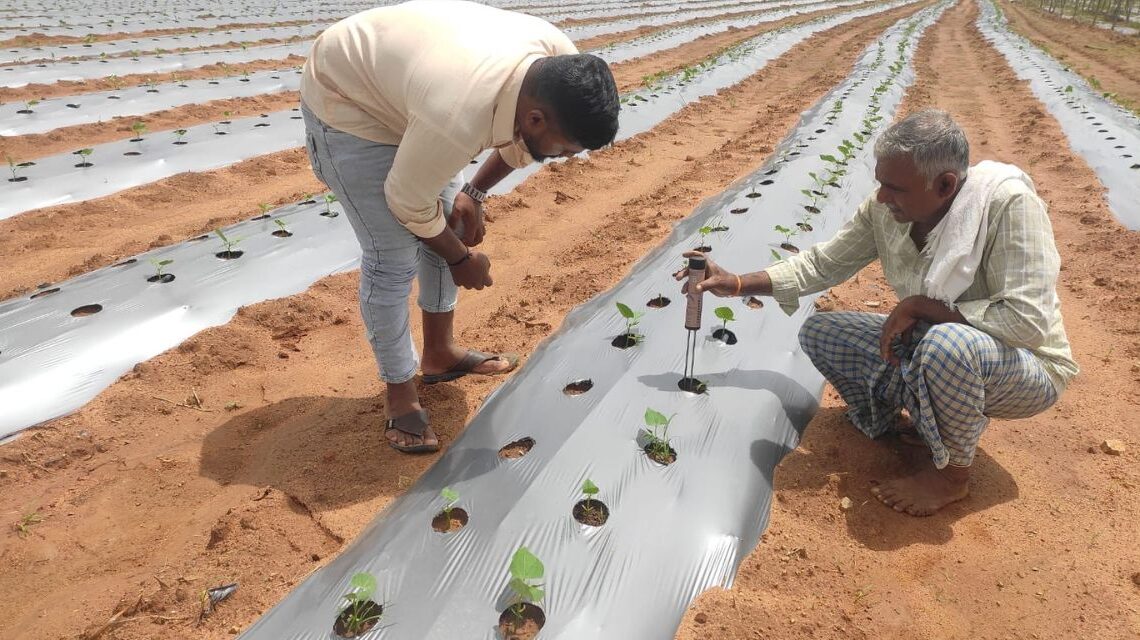 Kolar agricultural terrain