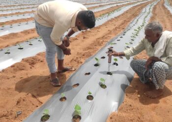 Kolar agricultural terrain