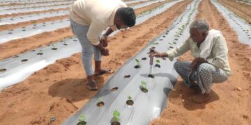 Kolar agricultural terrain