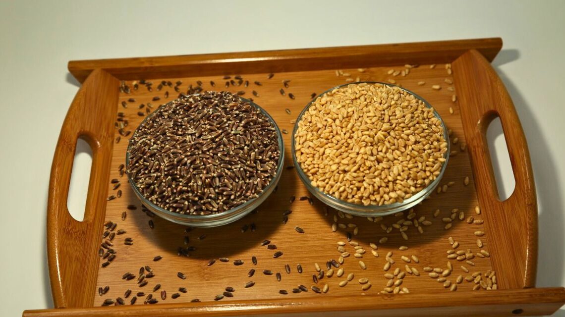 bio-fortified black wheat