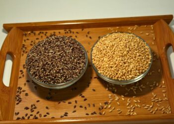 bio-fortified black wheat