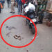 Dreaded criminal shot dead in broad day light at busy Main Road in Ranchi 