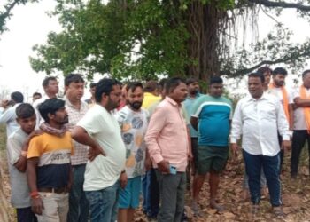 Youth found hanging from tree