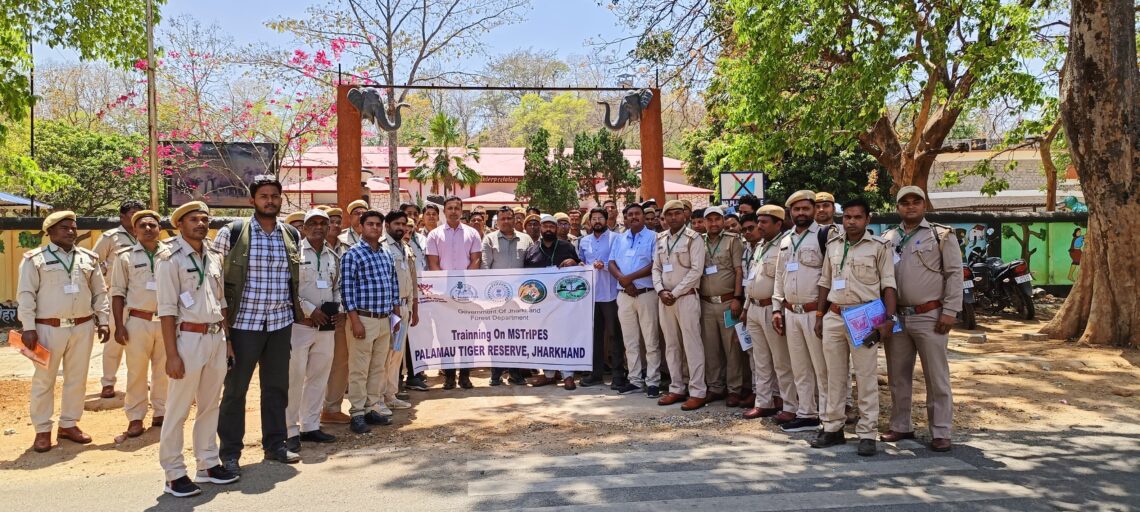 MSTriPES training PTR