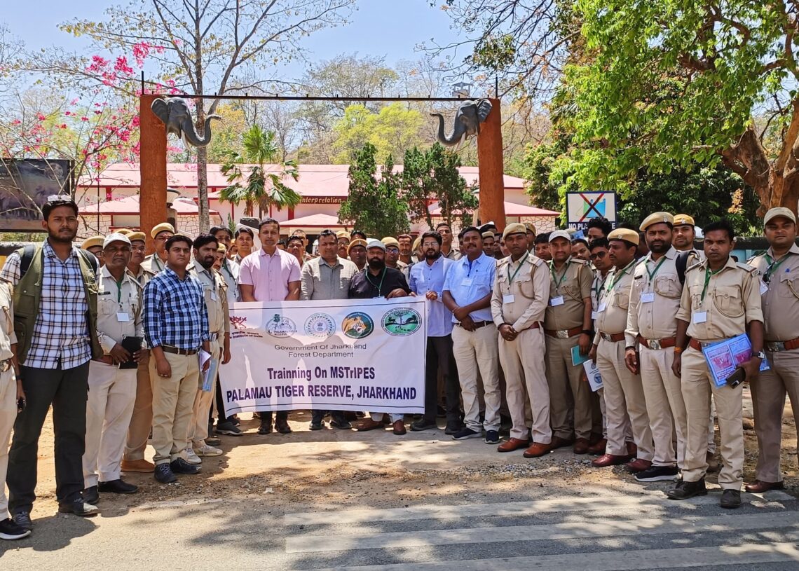 MSTriPES training PTR