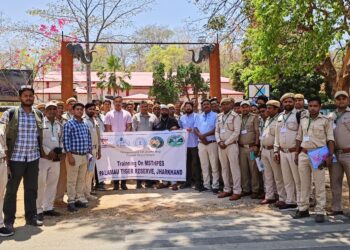 MSTriPES training PTR