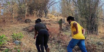 pre-monsoon census PTR