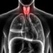 thyroid