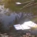 EVMs robbed and VVPAT machines thrown into pond