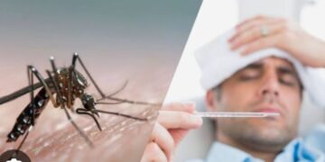 Dengue prevention campaign