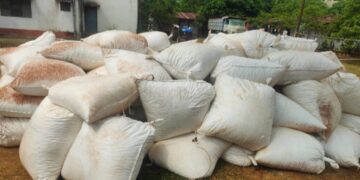 Jharkhand News: Poppy straw worth over Rs 3 crores seized in West Singhbhum