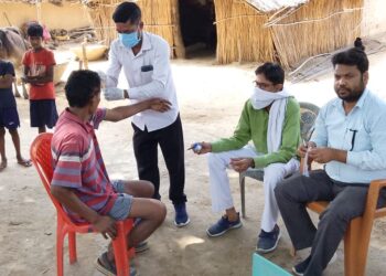 Jharkhand News: Garhwa health officials carry a second test for health of dead fruit bats eaters