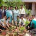 St John's High School Jamshedpur students lead ‘green initiative’