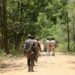 Jharkhand News: Four Naxalites killed in encounter in Chaibasa, two arrested