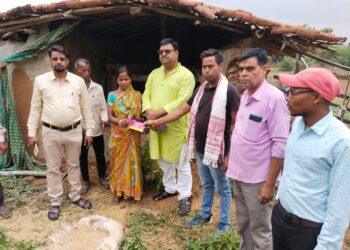 Elephant herd demolishes 3 houses in Dhanbad