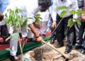Jharkhand CM reiterates pledge to protect environment by planting trees