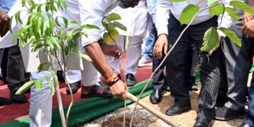 Jharkhand CM reiterates pledge to protect environment by planting trees