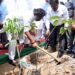 Jharkhand CM reiterates pledge to protect environment by planting trees