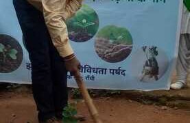 Jharkhand Biodiversity Board to cover each govt school with 100 rare Indigenous plants