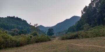 Jharkhand News: Forest beat officer initiates step to make Dalma a safer place for elephants