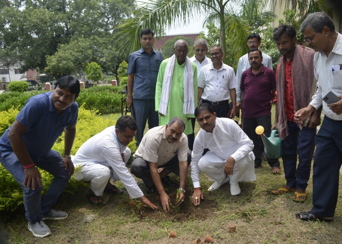 BIT Sindri Eco Club jumps for protection of climate