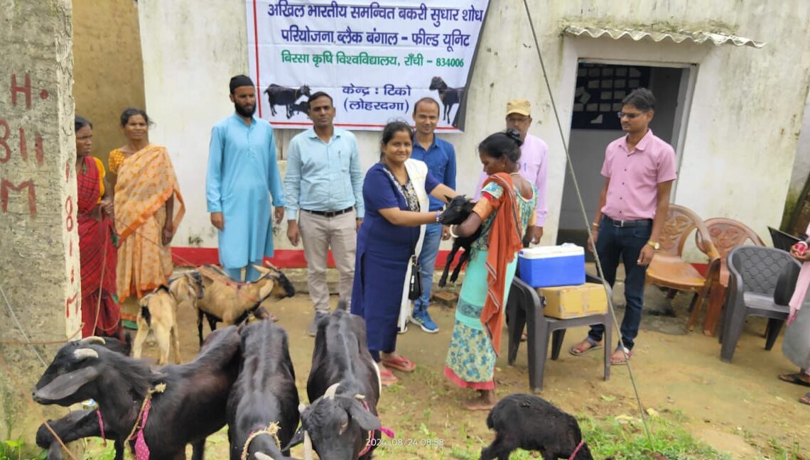 Veterinarians enhance livestock health in Jharkhand