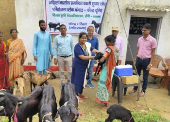 Veterinarians enhance livestock health in Jharkhand