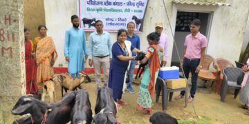 Veterinarians enhance livestock health in Jharkhand